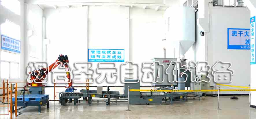 全自動(dòng)碼垛生產(chǎn)線案例 (圖4)