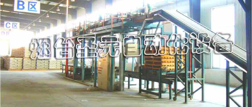 全自動(dòng)碼垛生產(chǎn)線案例 (圖9)