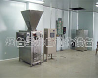 混合式閥口袋包裝機